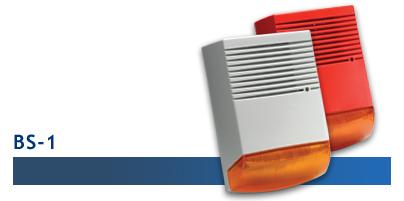 bs-1